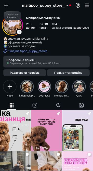 PREMIUM Мальтипу BabyFace