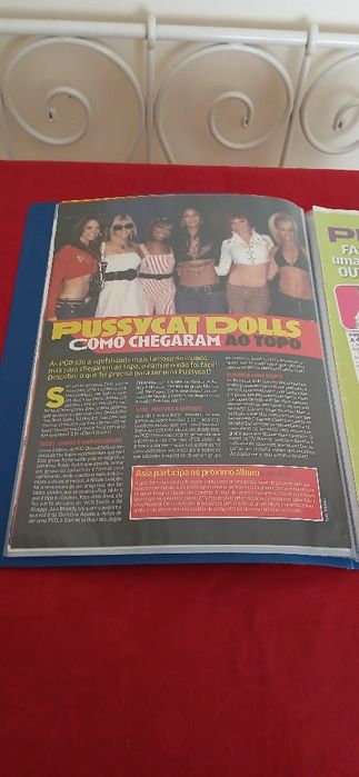 Dossier Pussycat Dolls, novo