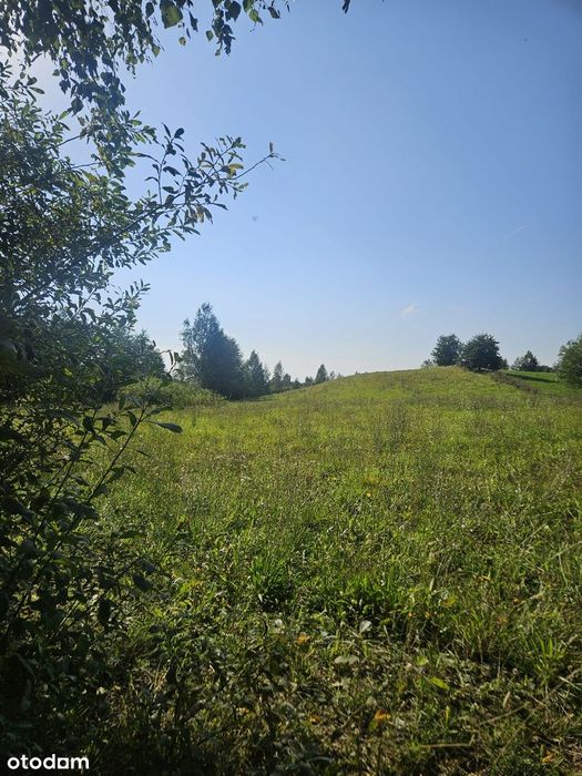 KUP 2,5ha jednego z najdzikszych i najpiękniejszych krajobrazów Polski