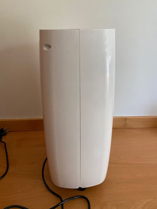 Desumidificador Rowenta Intense Dry Compact 16L