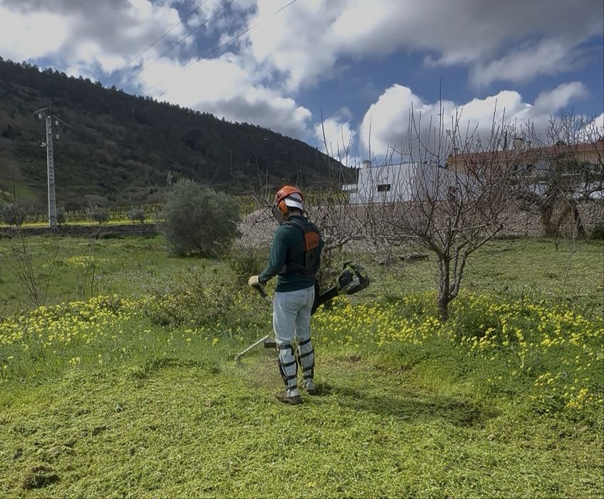Limpeza de jardins e terrenos
