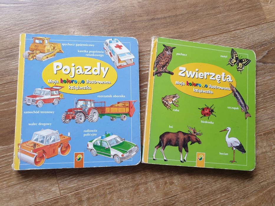 Książki dla dzieci