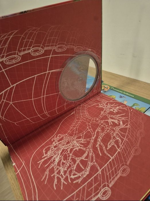 Conjunto de livros para menino