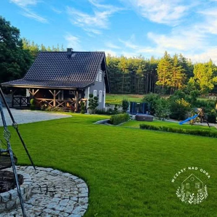 Pielęgnacja trawnika: aeracja, wertykulacja, przycinanie krzewów