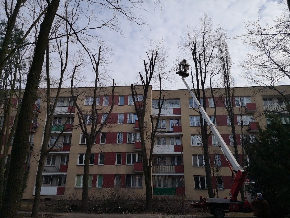 Wycinka drzew, rębak, frezarka do pni, podnośnik koszowy