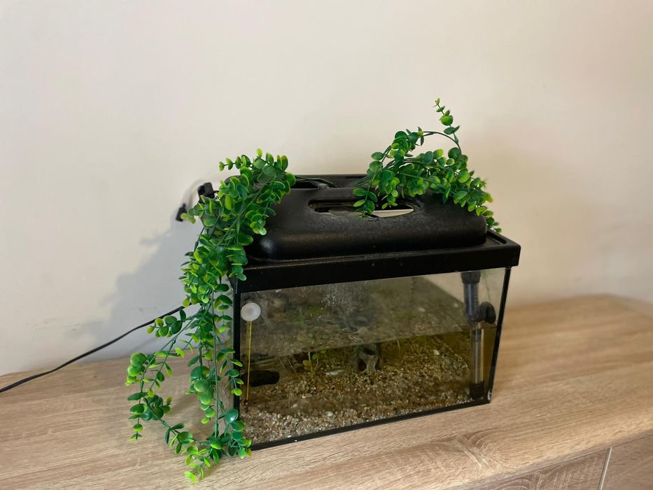 Akwarium 25l zestaw
