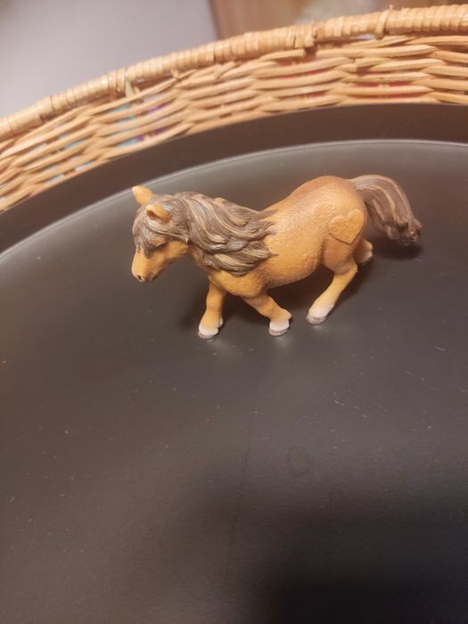 Konik Schleich kucyk
