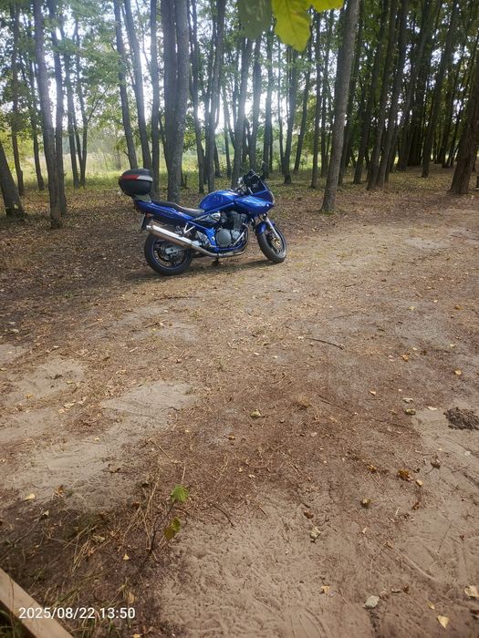 Suzuki Gsf 600 Bandit S