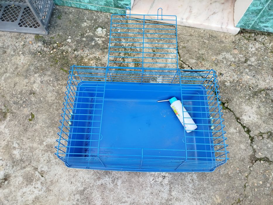 Gaiola para Coelho ou porquinho anao