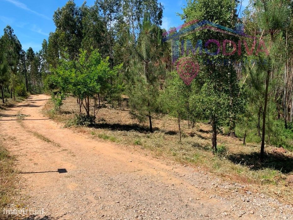 Rustic Land with Urbanization Potential