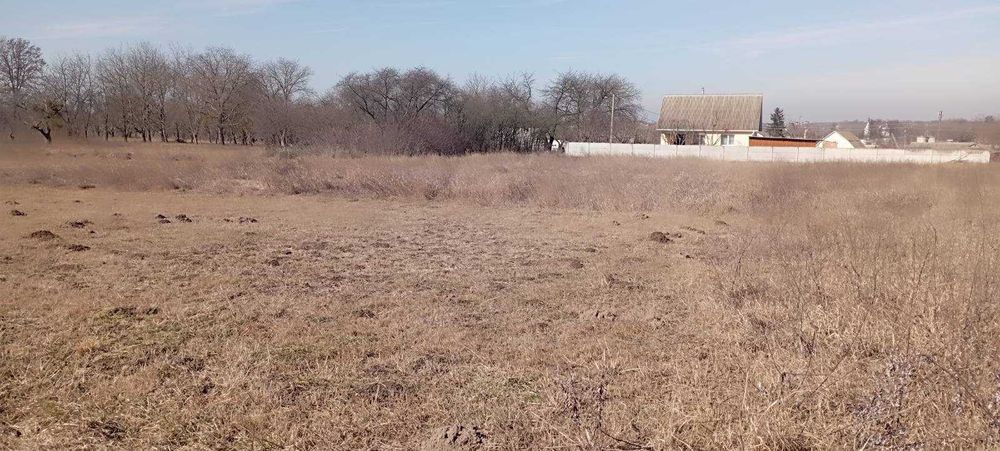 (8) Продається земельна ділянка в с. Лука-Мелешківська 9890