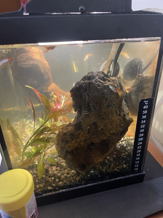 Aquairo completo 20 litros