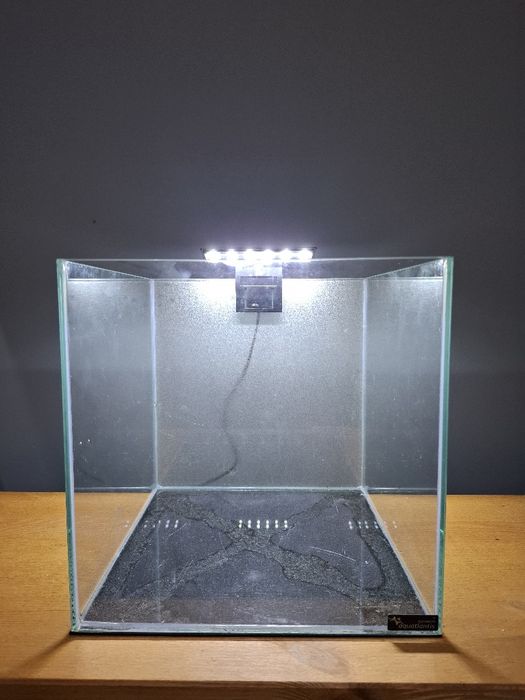 Aquário cubo 25,5 x 25,5 x 26cm com iluminação