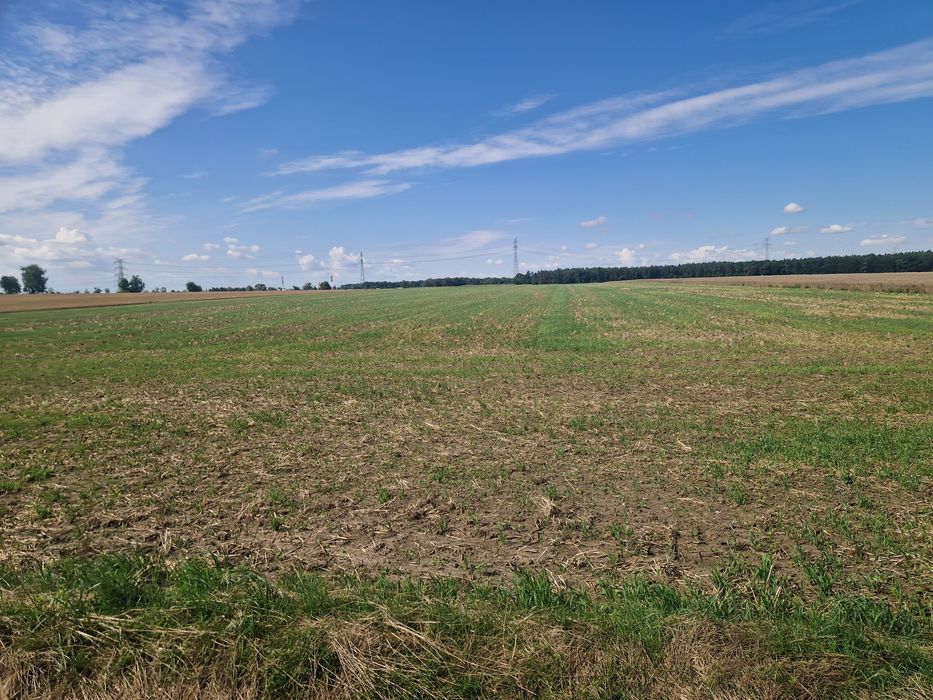 Sprzedam grunt rolny Owczary Gmina Oława