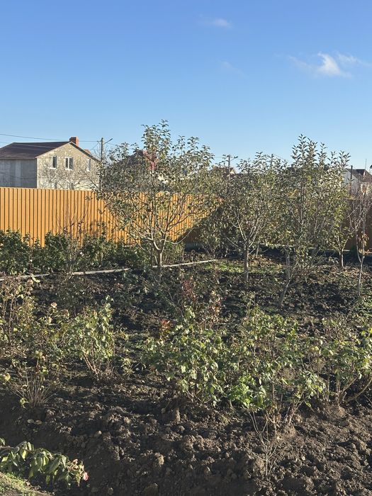 Будинок за адресою вул. Перемоги (площа 120 м²) - Atlanta.ua - фото 13