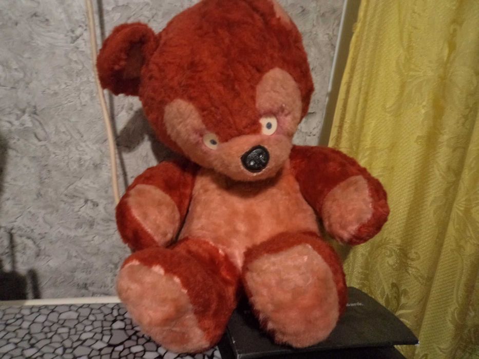 медведь мончини ссср