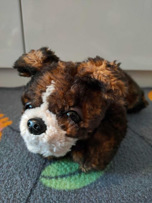 piesek przytulanka maskotka