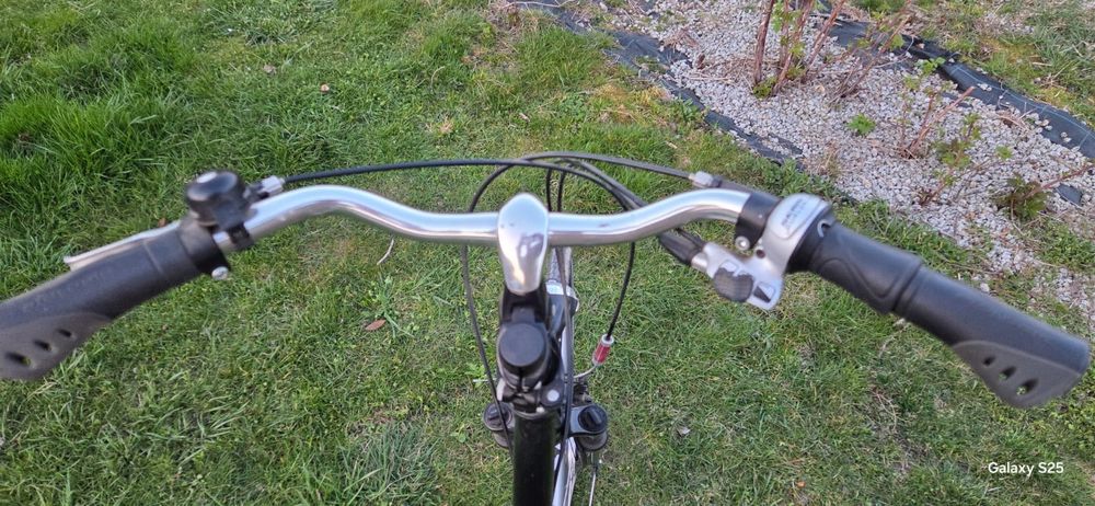 Rower miejski Pegasus