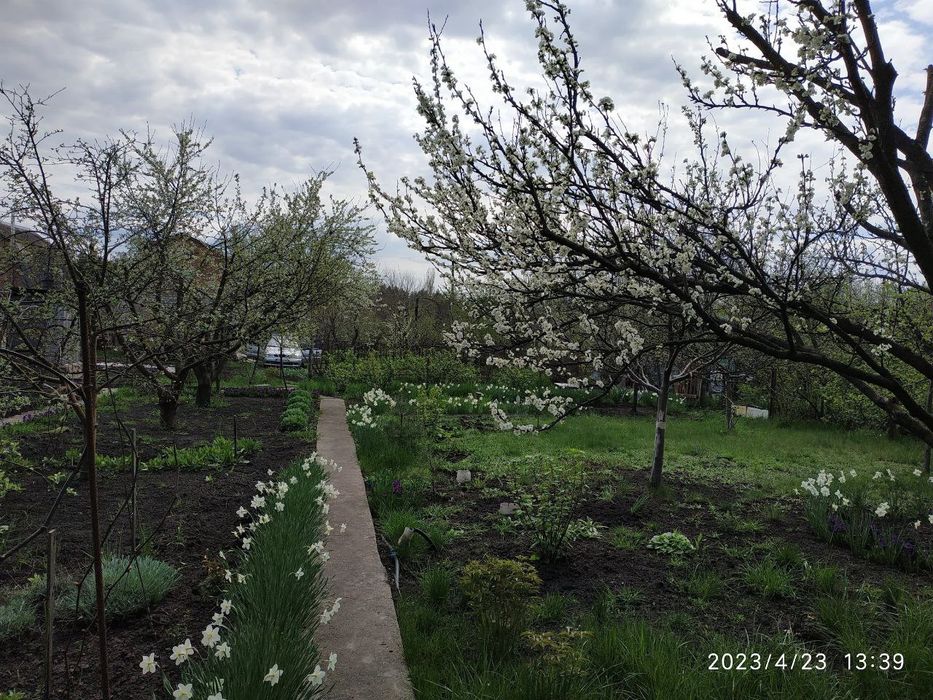 Дача Комунальник 10 соток