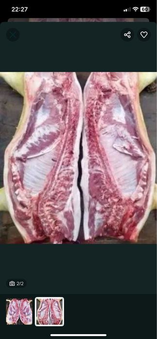 Свинина домашня , під замовлення