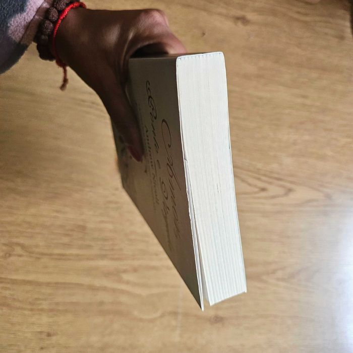 Amor, Ponto e Vírgula