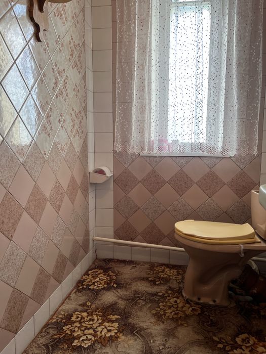 Продається будинок в Сад.Станції, с.Млієв, Городищенськийр-он,Черк.обл