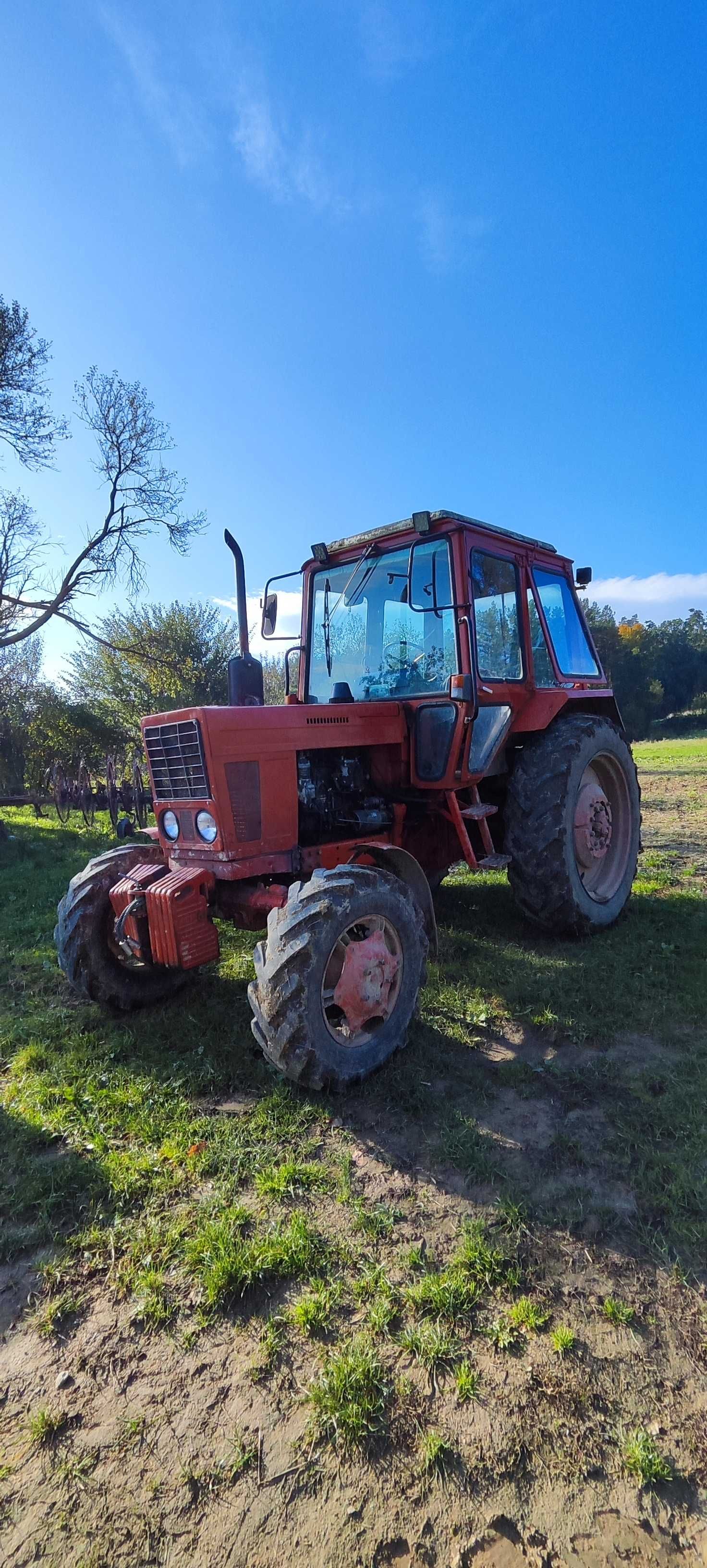 Sprzedam MTZ 82 czerwony Lipa • OLX.pl