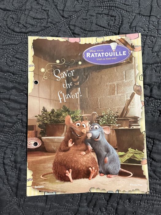 karteczki do segregatora ratatuj