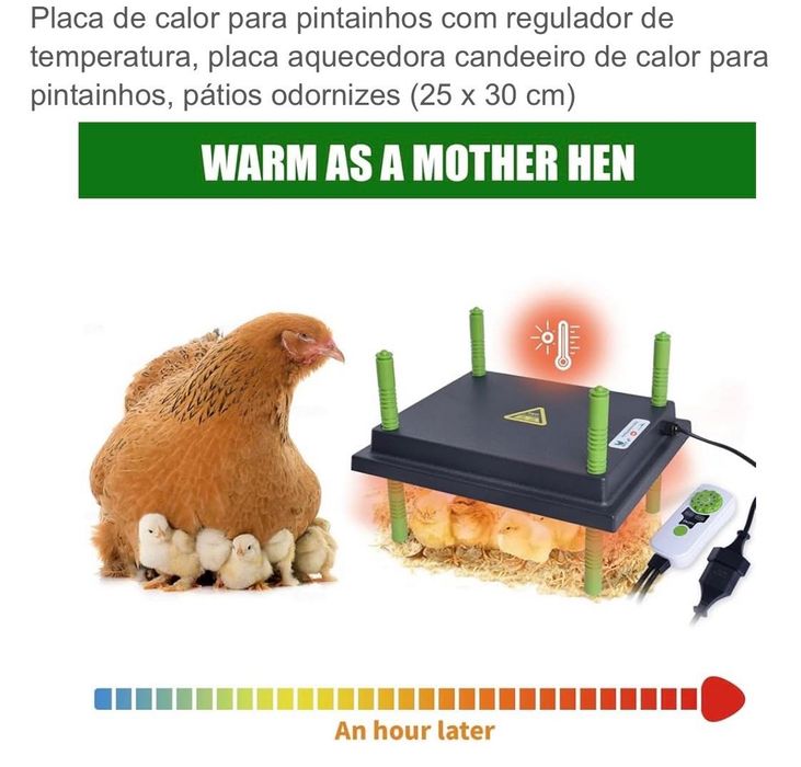 Placa aquecedora de pintainhos