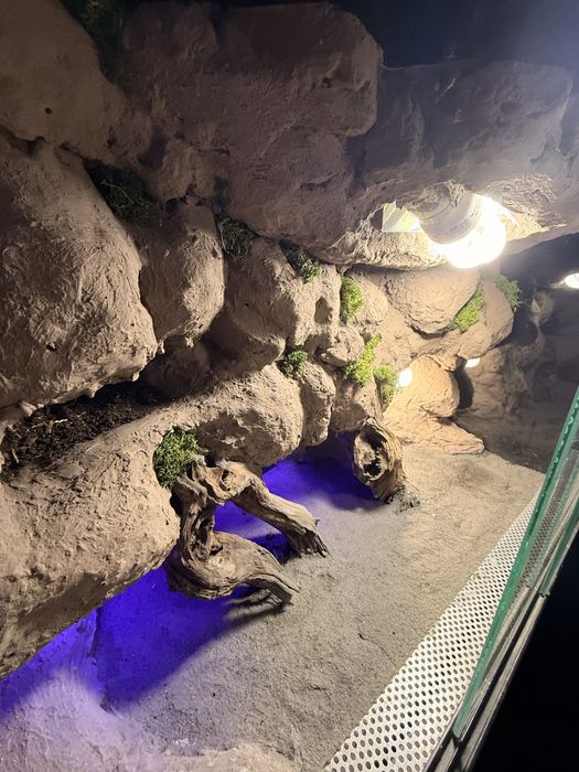 Customowe ścianki do terrarium na zamówienie