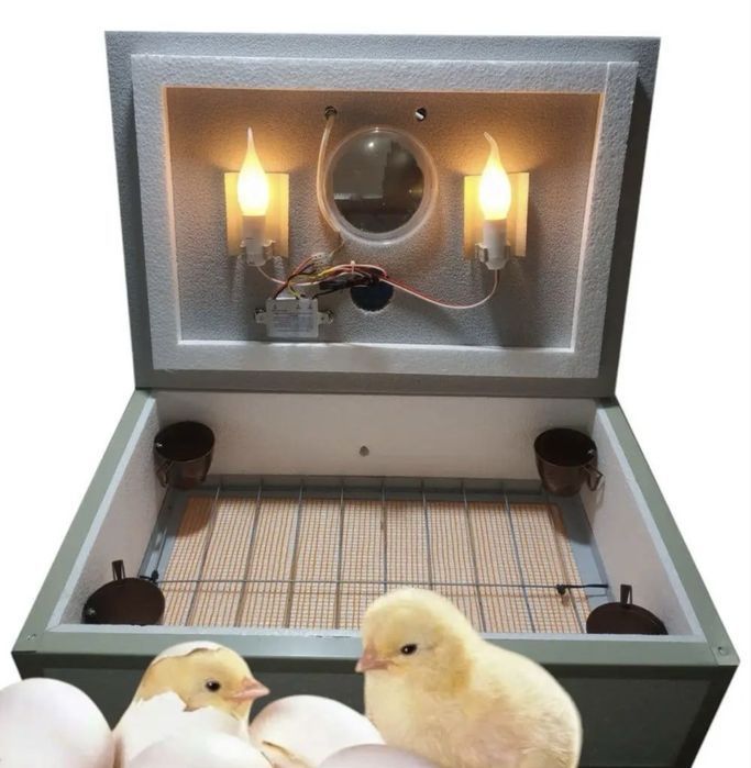 Інкубатор Квочка механічний Міні інкубатор Інкубатор для 100 яєць
