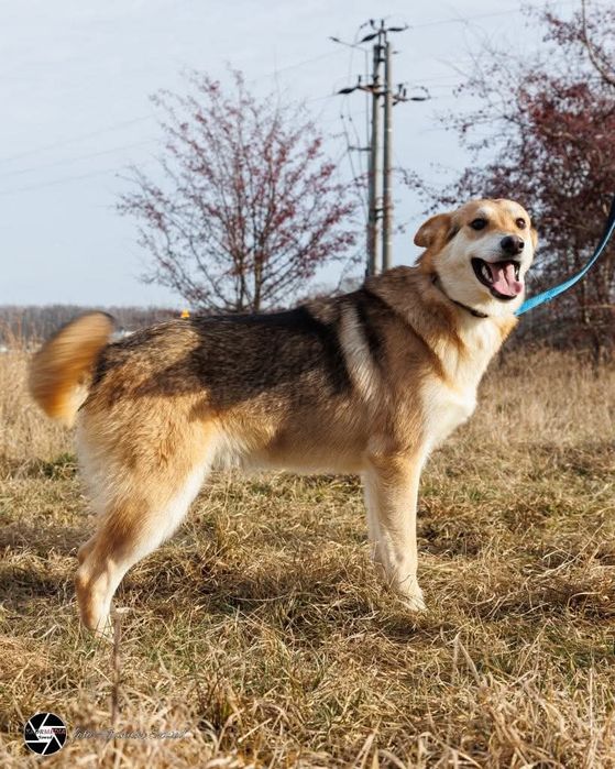 Miki rozgląda się za swoim domem