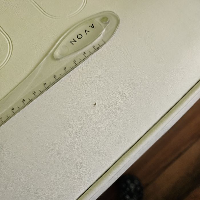 Fotel Kosmetyczny Pedicure 234D Hydrauliczny KOŁYSKA łóżko do masażu