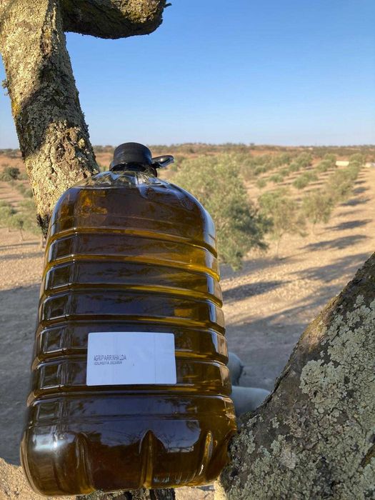 Produto Agrícola - Azeite