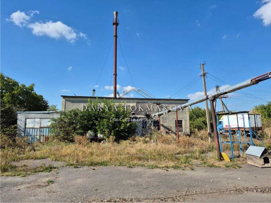 Продаж Піщанський молокозавод Без%