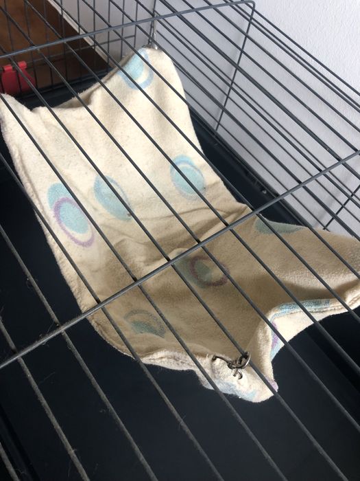 Cama para furão ou roedores