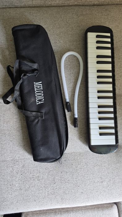Melodyka instrument