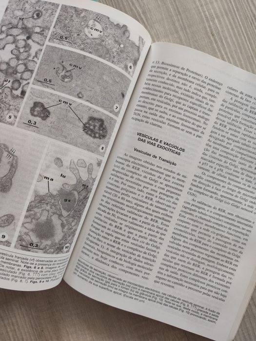 Livro Biologia Celular e Molecular , 3a edição, Carlos Azevedo