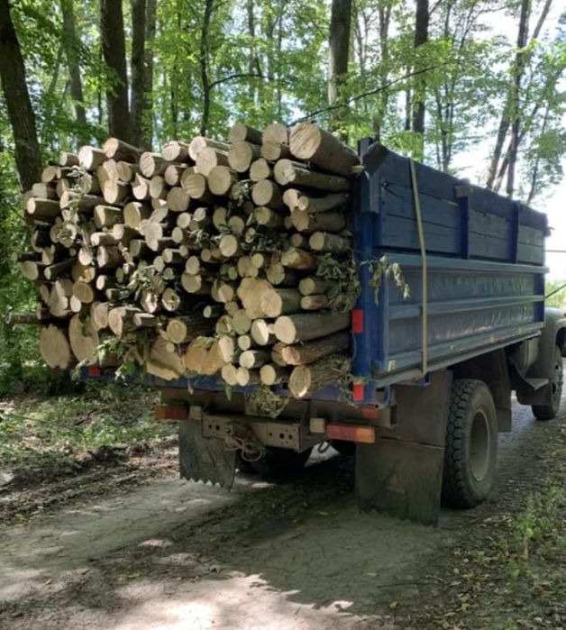 Мінімальні ціни на дубові дрова без передплат і посередників. (1-15м3)