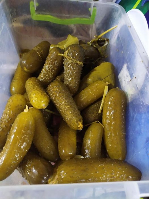 Огірки бочкові (домашнє соління)