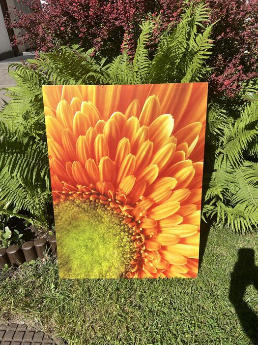 Obraz na plotnie 60 x 80