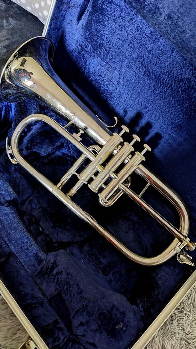 Fliscorne Amati Kraslice