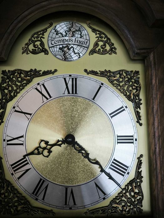 Relógio de pé  - Tempus Fugit