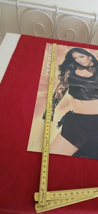 Poster Nicole - The Pussycat Doll