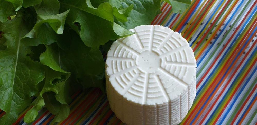 Sery kozie smakowe, wędzone. Ricotta.