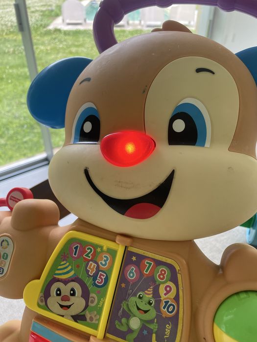 Andador do Cãozinho FISHER PRICE (Idade Mínima: 6 meses)