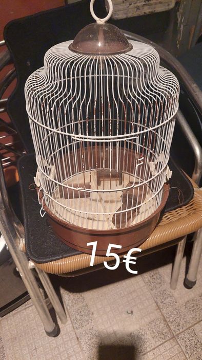 Vendo gaiolas usadas e viveiro