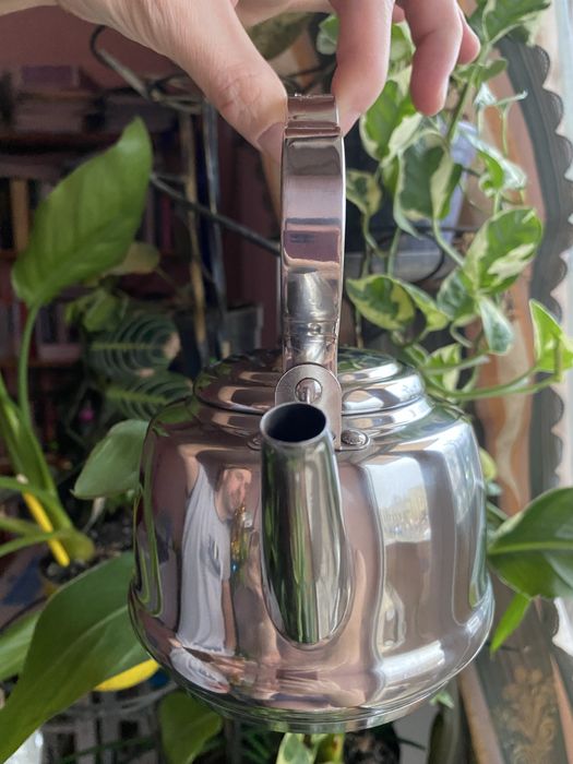 Чайник Petromax Teakettle 0,8 л