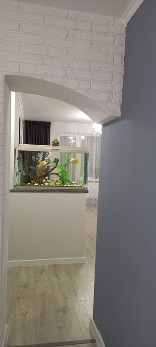 Внутрішні ремонтні роботи