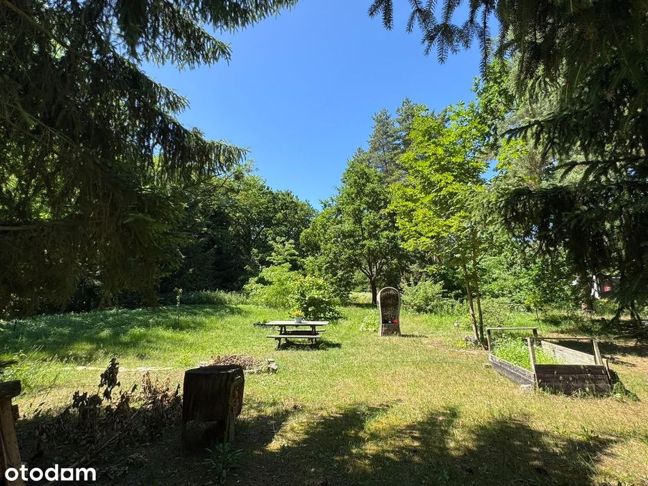 Działka inwestycyjna 8255 m² | MPZP | 
DOM 300 m² | HALA 1200 m² |